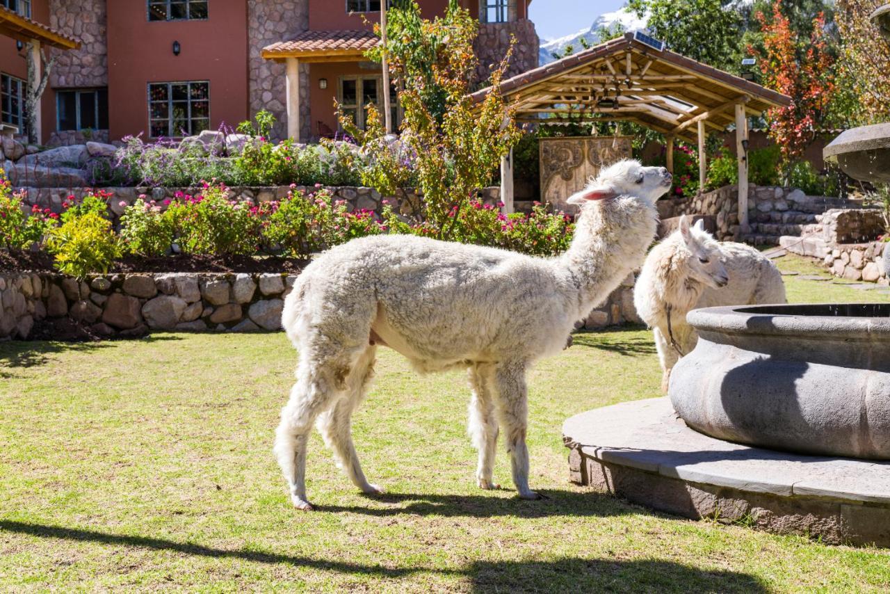 Villa Apu Chicon Urubamba Exterior foto