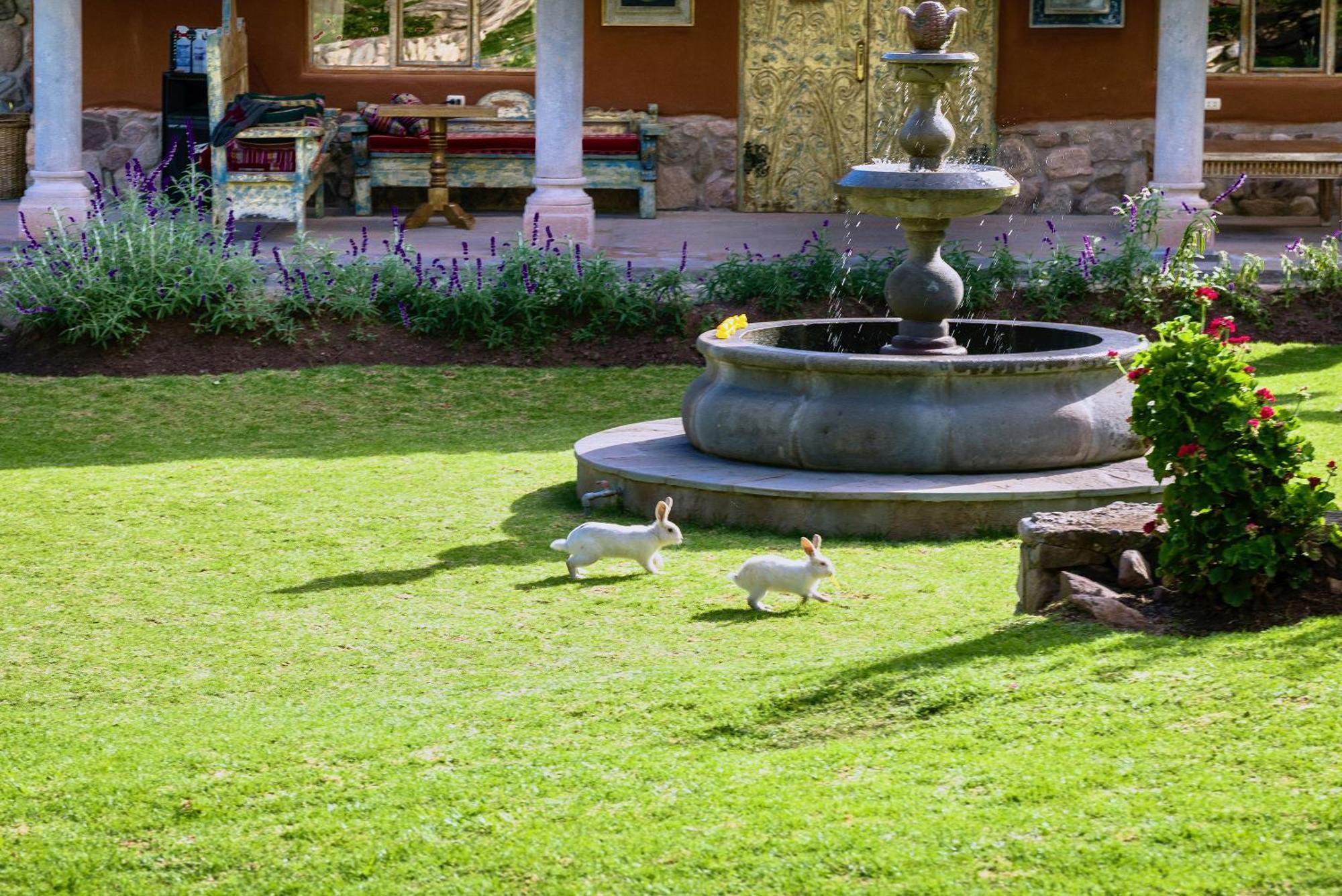 Villa Apu Chicon Urubamba Exterior foto
