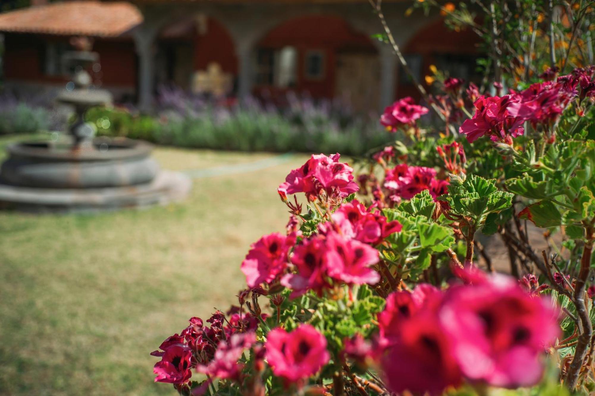 Villa Apu Chicon Urubamba Exterior foto