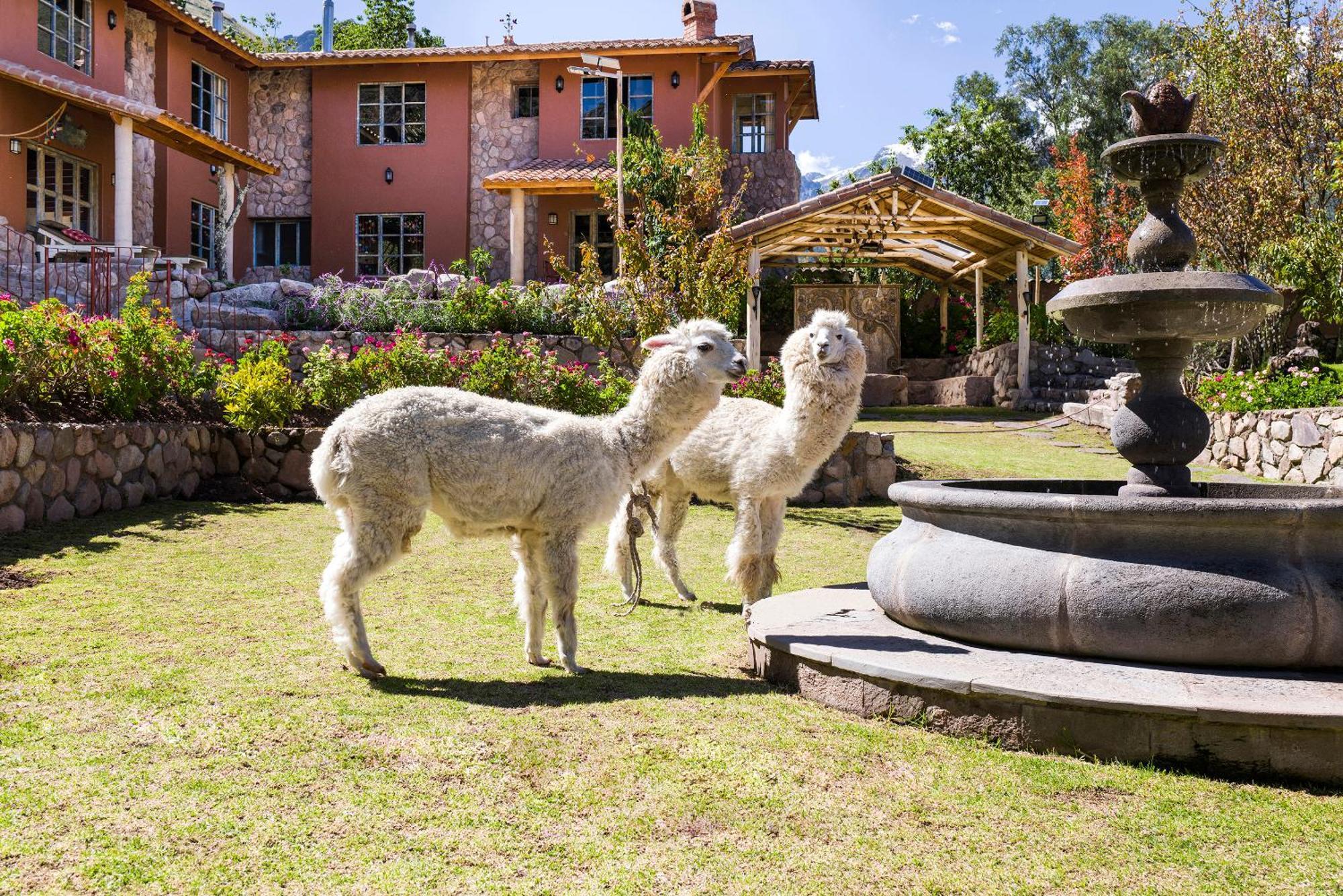 Villa Apu Chicon Urubamba Exterior foto